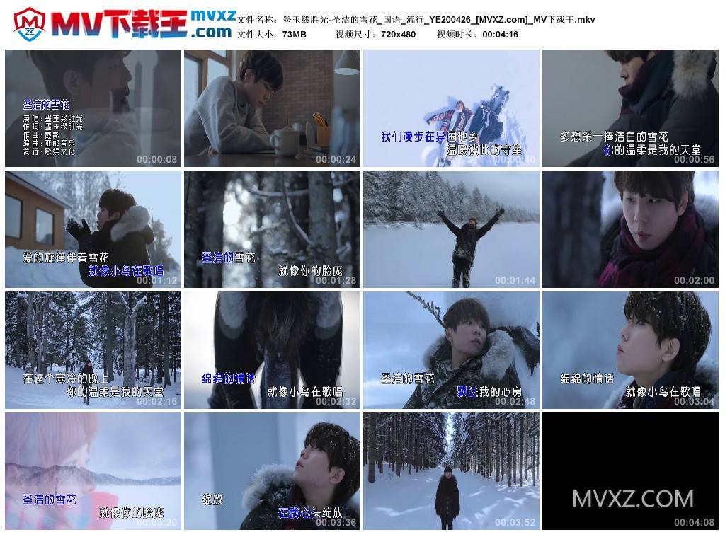墨玉缪胜光-圣洁的雪花_国语_流行_YE200426
